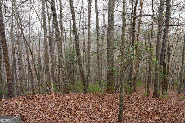 0 Round Top 43B, Clayton, GA 30525