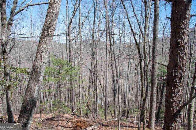 0 Round Top 43B, Clayton, GA 30525