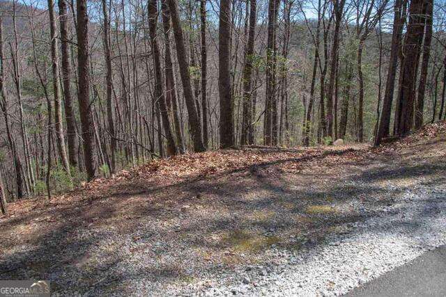 0 Round Top 43B, Clayton, GA 30525