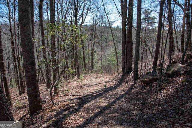 0 Round Top 43B, Clayton, GA 30525