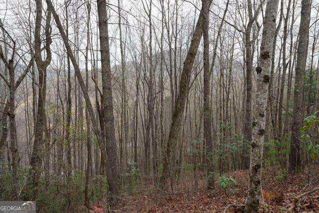 0 Round Top 43B, Clayton, GA 30525