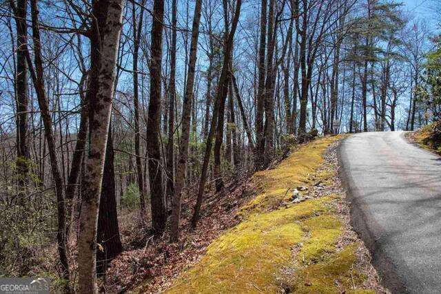 0 Round Top 43B, Clayton, GA 30525
