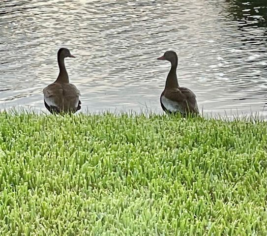 10114 HIGHLAND PARK PLACE, Palmetto, FL 34221