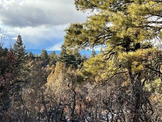 0 1781, Chama, NM 87520