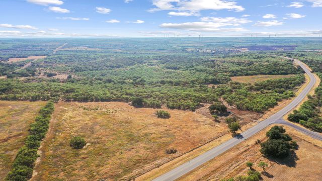 TBD Tract 3 Hwy 6, Moran, TX 76464