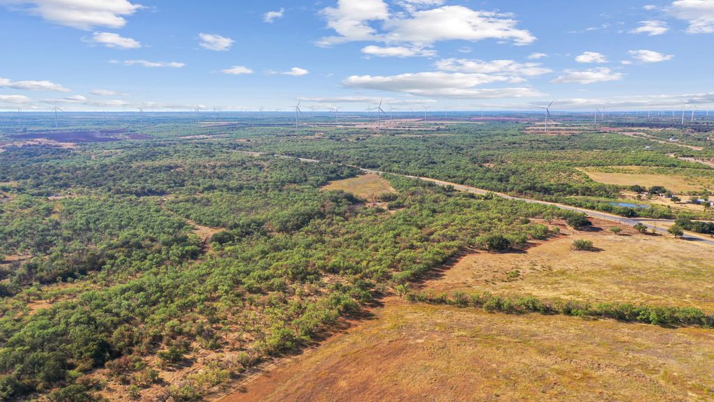 TBD Tract 3 Hwy 6, Moran, TX 76464