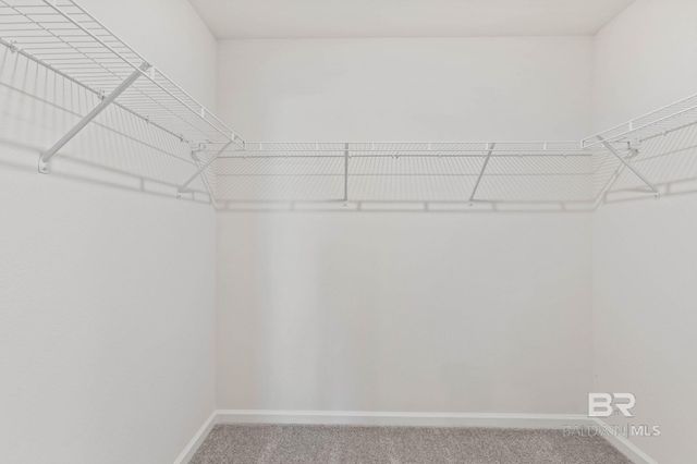 19349 Gray Horse Drive, Foley, AL 36535