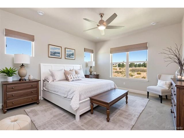 6731 Zebra Grass Ln, Parker, CO 80138