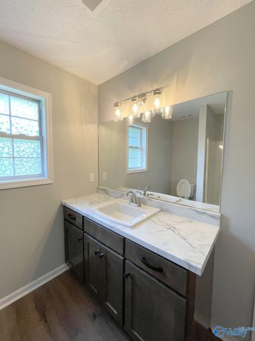 100 Brook Glen Drive, Hazel Green, AL 35750