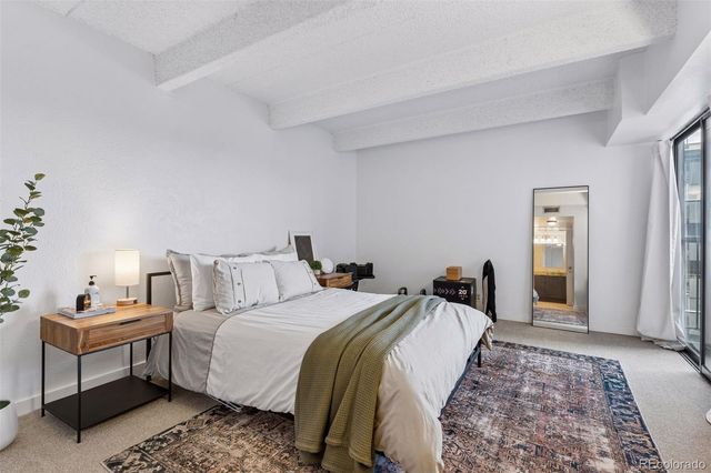 777 N Washington Street 1203, Denver, CO 80203