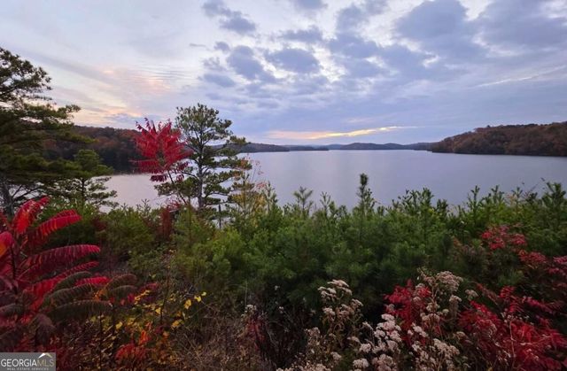 2703 Hwy 382W, Ellijay, GA 30540