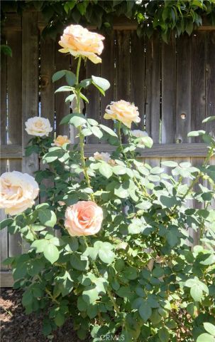 1140 N Shooting Star Drive, Beaumont, CA 92223