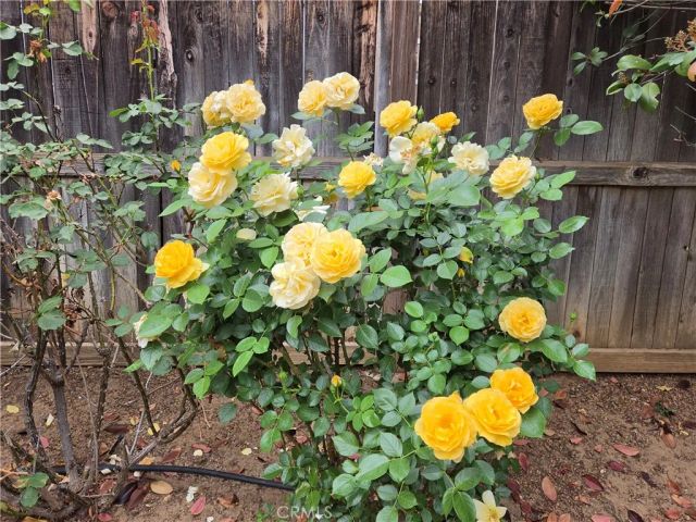 1140 N Shooting Star Drive, Beaumont, CA 92223