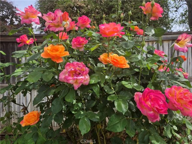 1140 N Shooting Star Drive, Beaumont, CA 92223