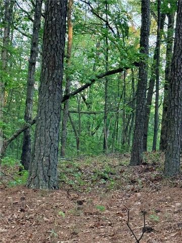 LOT 7B PEA RIDGE Road, Marble Hill, GA 30148