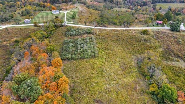 Lot #1 Georgetown Road, Owenton, KY 40359