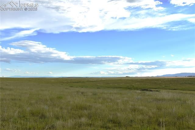 18166 Prairie Coach View, Colorado Springs, CO 80930