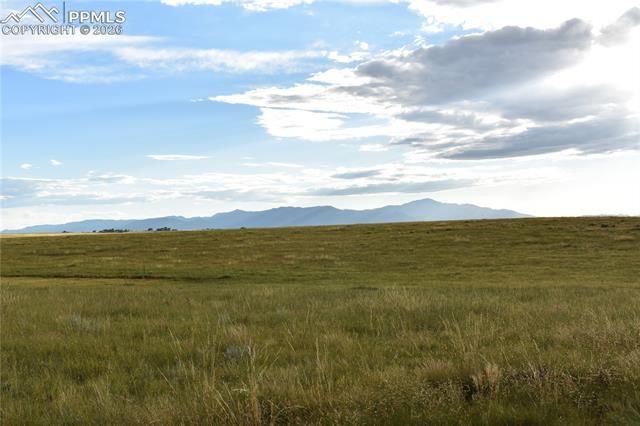 18166 Prairie Coach View, Colorado Springs, CO 80930