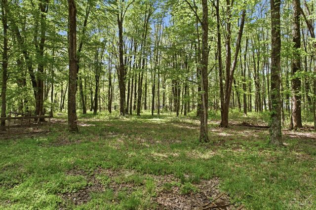 1690 Woodville Pike, Goshen Twp, OH 45140