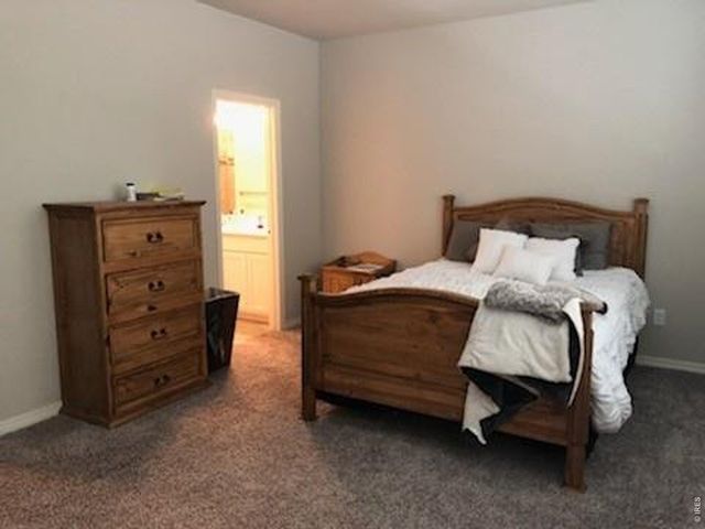1691 Grand Ave 5, Windsor, CO 80550