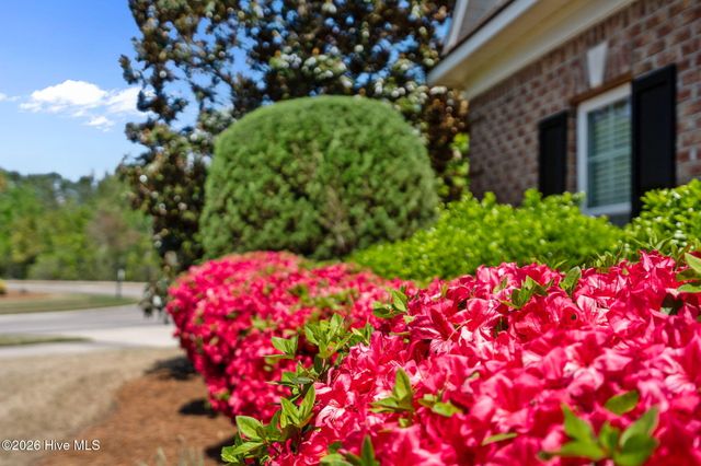 8256 Ibis Point NE, Leland, NC 28451