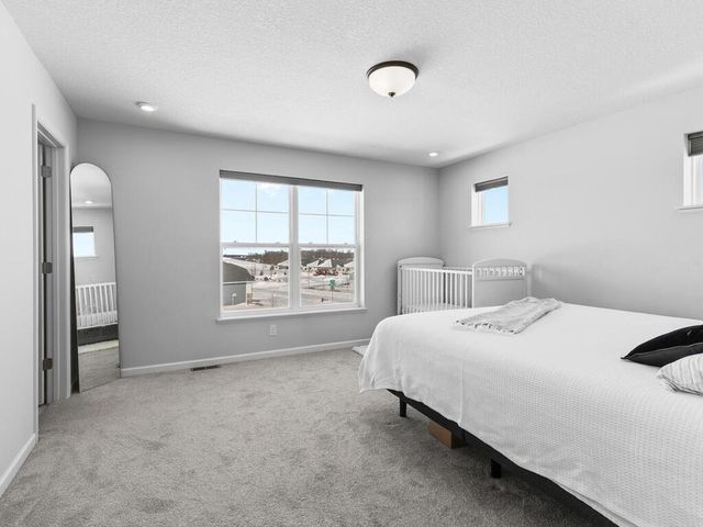 6662 Wildflower Way, Minnetrista, MN 55331