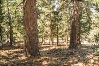 30908 Glen Oak, Running Springs, CA 92382