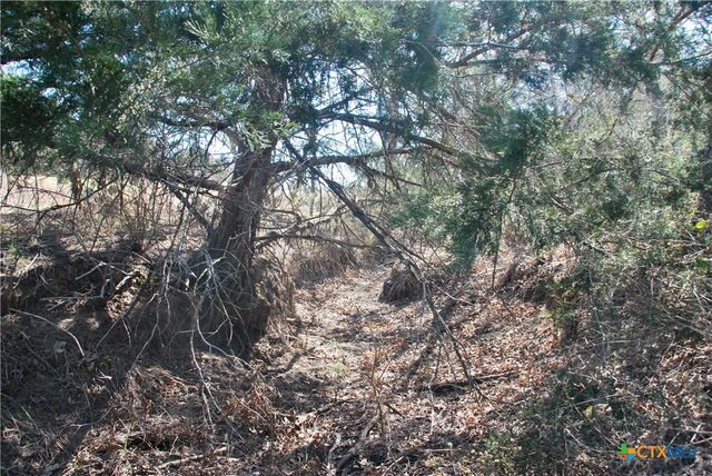 4850 Burke Road, Flatonia, TX 78941