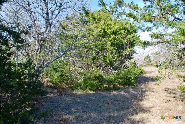 4850 Burke Road, Flatonia, TX 78941