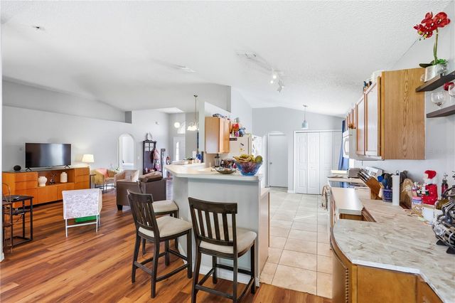 673 LOBELIA DRIVE, Davenport, FL 33837