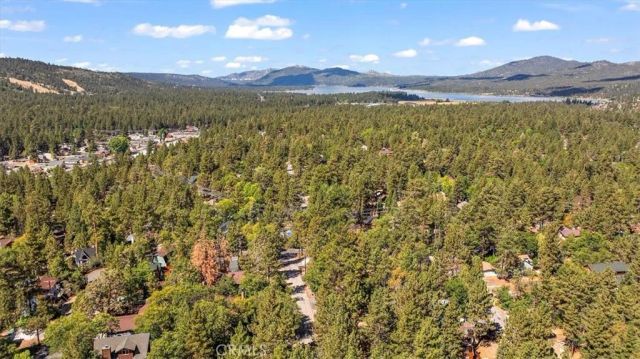 1160 W Alta Vista, Big Bear City, CA 92314