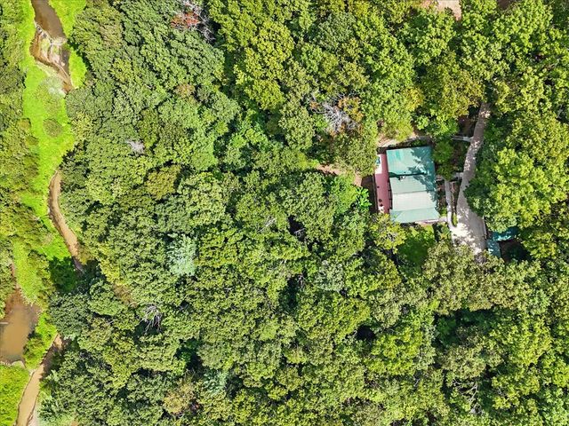 384 Mountain Laurel Drive, Ellijay, GA 30540