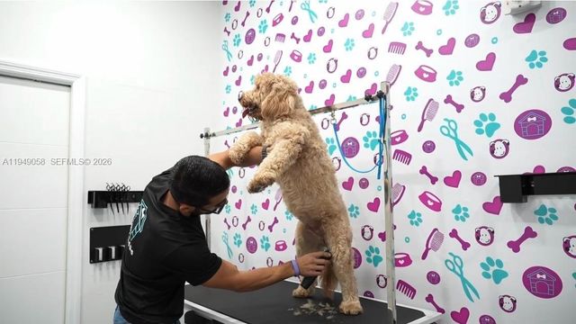 8347 NW 36th St, Doral, FL 33166