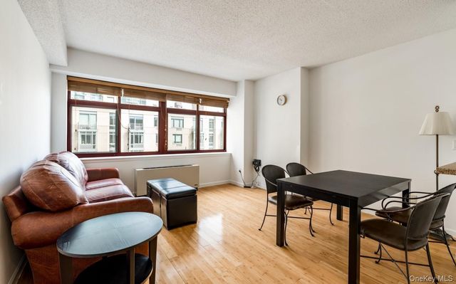4-74 48th Avenue 4V, Long Island City, NY 11109