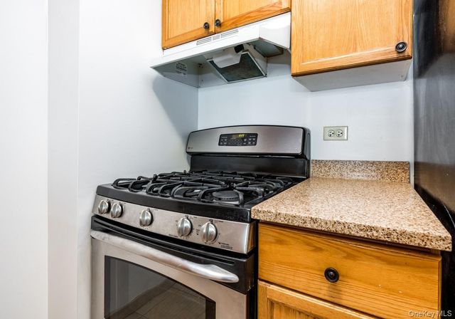 4-74 48th Avenue 4V, Long Island City, NY 11109
