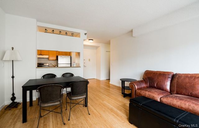4-74 48th Avenue 4V, Long Island City, NY 11109
