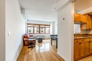 4-74 48th Avenue 4V, Long Island City, NY 11109