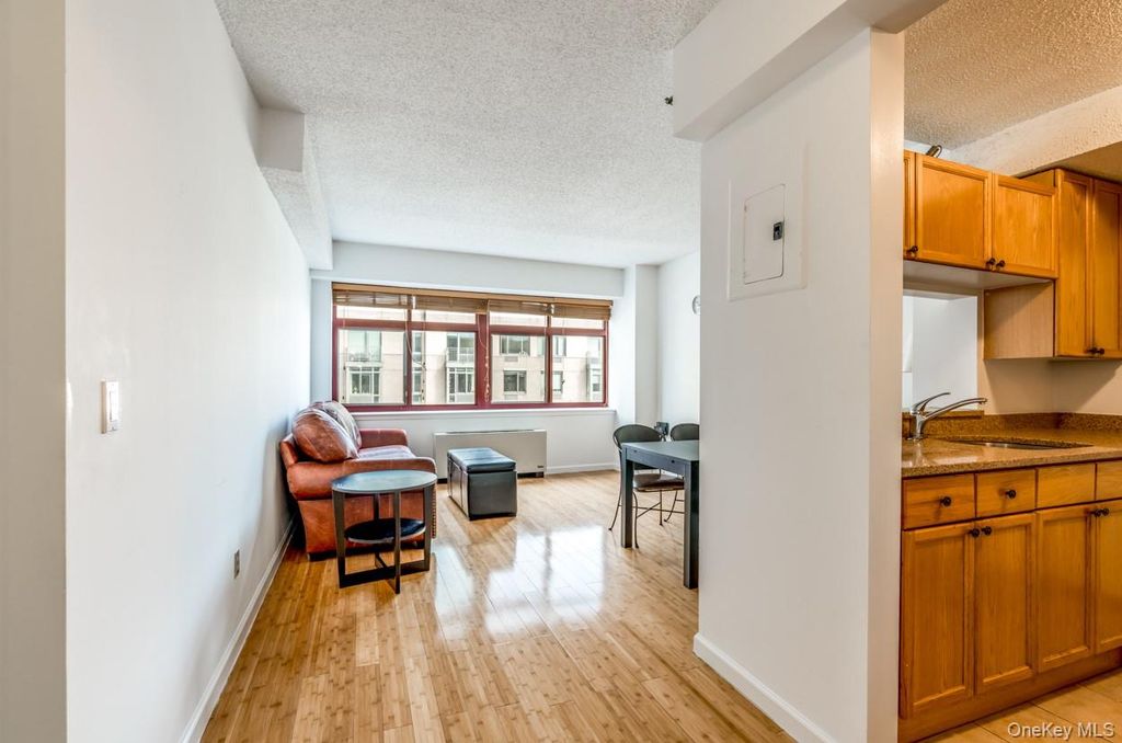 4-74 48th Avenue 4V, Long Island City, NY 11109