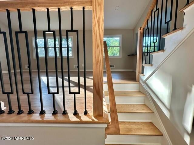 20 Evelyn Terrace, Spotswood, NJ 08884