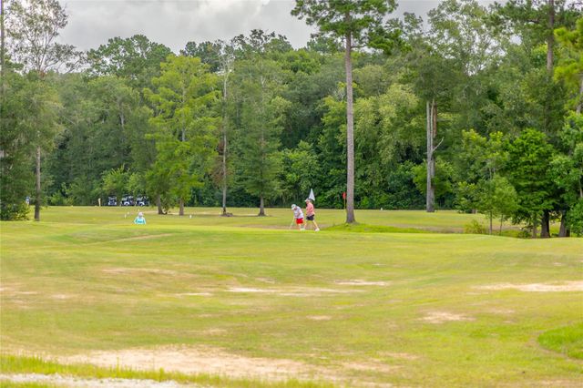 20232 Torrey Pines Lane, Cleveland, TX 77327