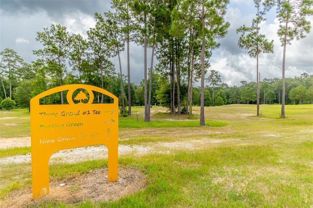 20232 Torrey Pines Lane, Cleveland, TX 77327