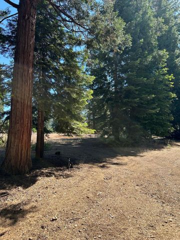 21 Foxglove Lane, Shaver Lake, CA 93664