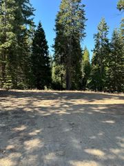 21 Foxglove Lane, Shaver Lake, CA 93664