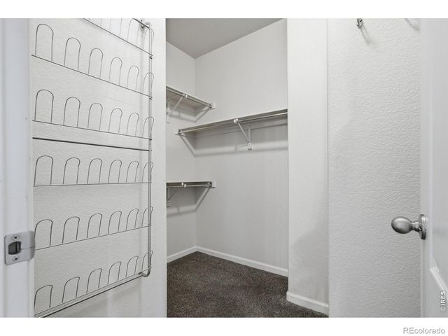 3302 Borrossa Street, Evans, CO 80634
