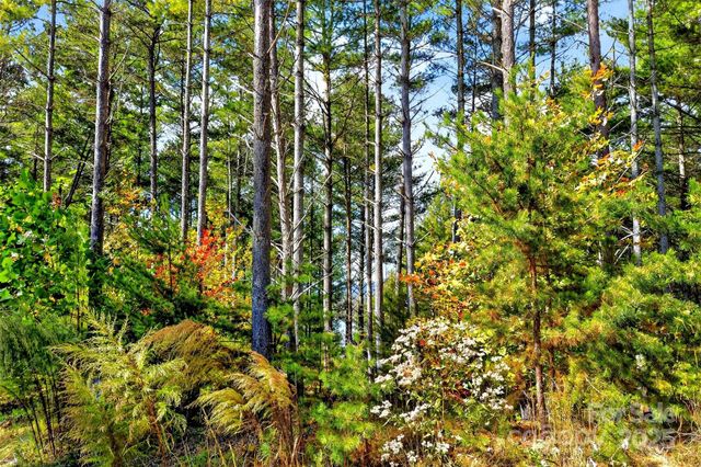 0 West Point Drive, Nebo, NC 28761