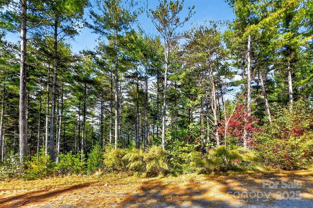0 West Point Drive, Nebo, NC 28761