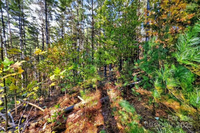 0 West Point Drive, Nebo, NC 28761