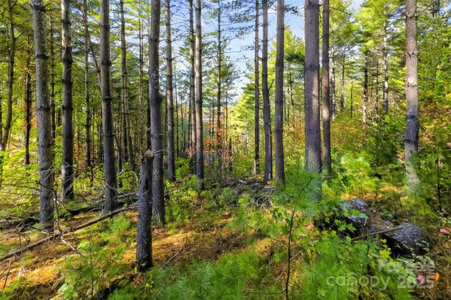 0 West Point Drive, Nebo, NC 28761