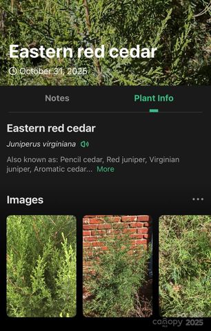 0 West Point Drive, Nebo, NC 28761