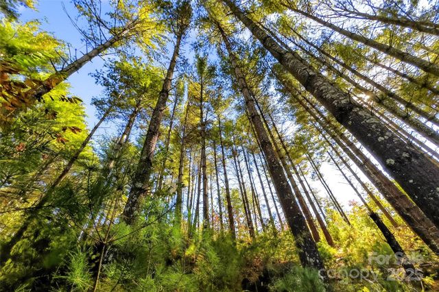 0 West Point Drive, Nebo, NC 28761